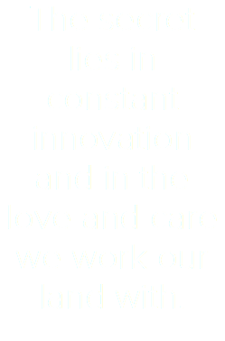 The secret lies in constant innovation and in the love and care we work our land with.