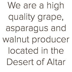 We are a high quality grape, asparagus and walnut producer located in the Desert of Altar