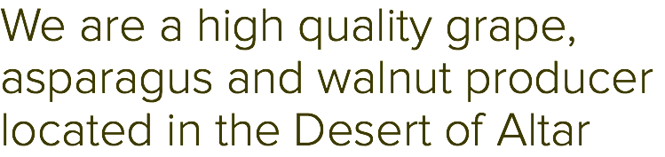 We are a high quality grape, asparagus and walnut producer located in the Desert of Altar